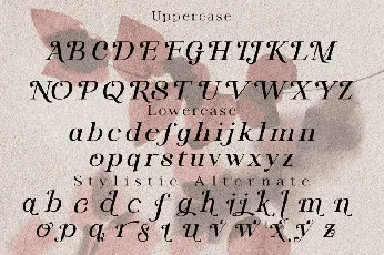 Lite Vallent font