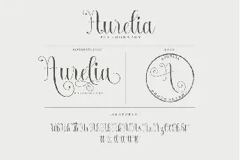 Armadilla Script font