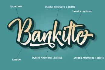 Bankitte Handlettered font