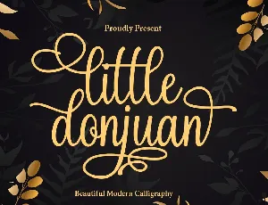 Little Donjuan font