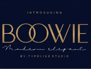 Boowie Sans Serif font