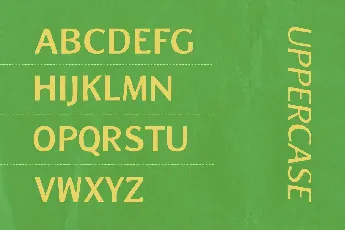 Zoya font