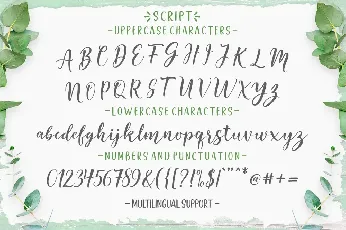 Good Selection Script font