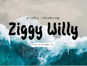 Ziggy Willy - Demo font