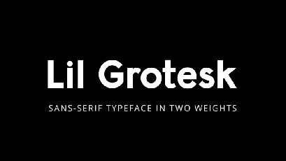 Lil Grotesk font