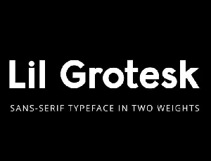 Lil Grotesk font