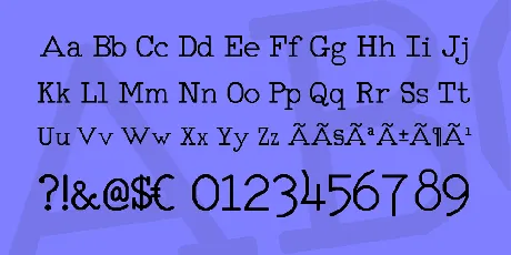 RM Typerighter medium font