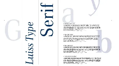 Luiss font