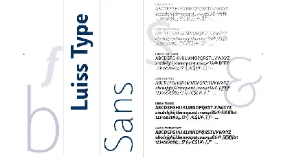 Luiss font