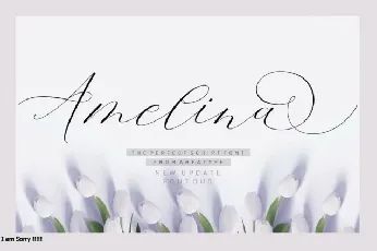 Amelina Script font