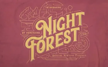 Night Forest Display font