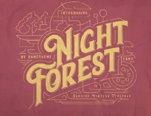 Night Forest Display font