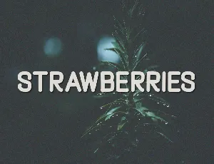 Strawberries font