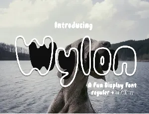 Wylon Outline - Demo font