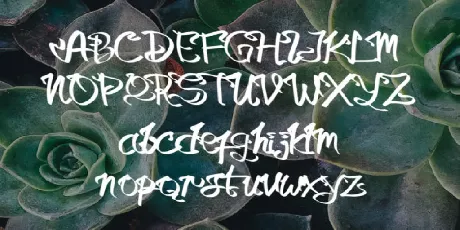 Dilla Tic font