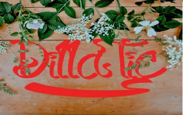 Dilla Tic font