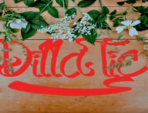 Dilla Tic font