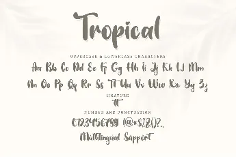 Tropical Display - Personal Use font