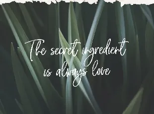 The Secret Script font