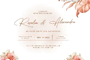 The Wedding Signature font