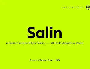 Salin Family font