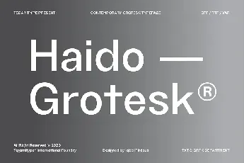 TG Haido Grotesk Family font