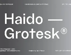 TG Haido Grotesk Family font