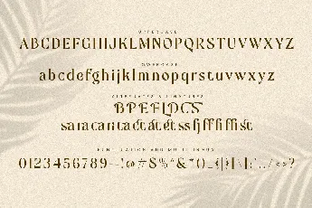 Mofista font