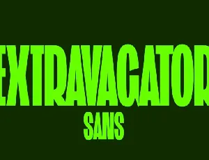 ST Extravagator Sans font