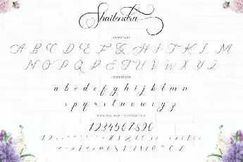 Shailendra Calligraphy font