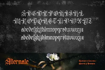 Distropiax font