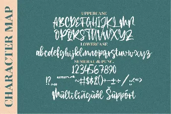 The Limited font