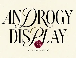 Androgy font