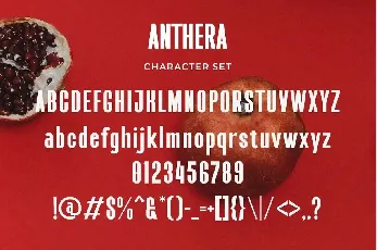 Anthera font