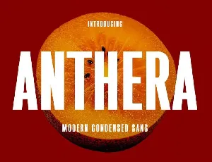 Anthera font