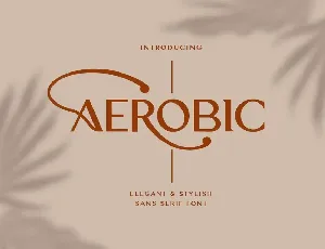 Aerobic Sans Serif font