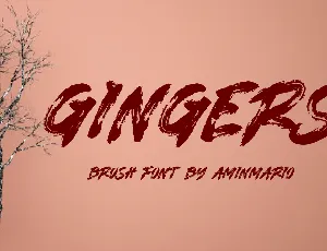 GINGERS font