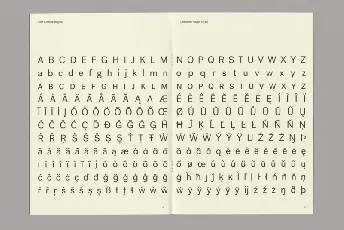 Post Grotesk Family font