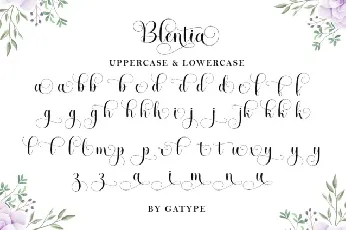 Blentia Calligraphy font