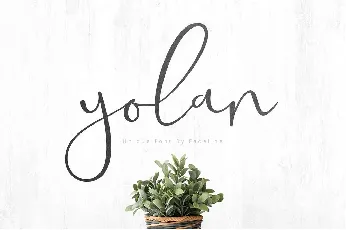 Yolan Script Free font