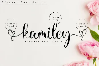 Kamiley font