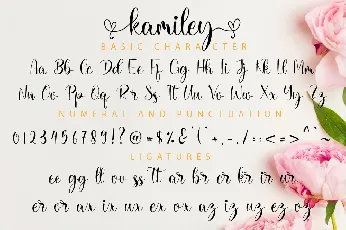 Kamiley font