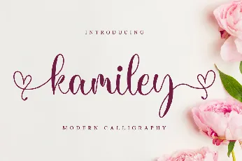 Kamiley font