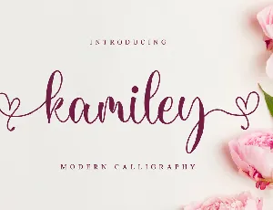 Kamiley font