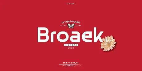 Broaek font