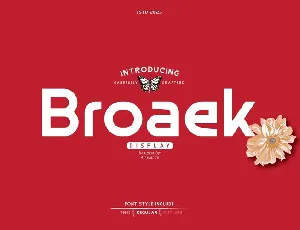 Broaek font