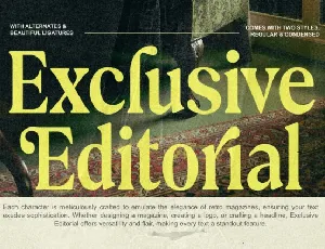 Exclusive Editorial font