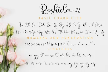 Roshida font