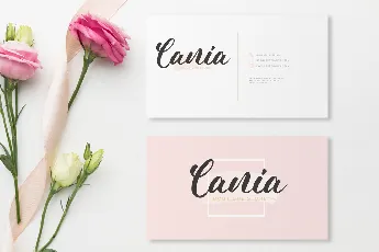 Beauty Valentina font