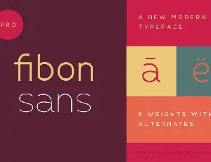 Fibon Sans font